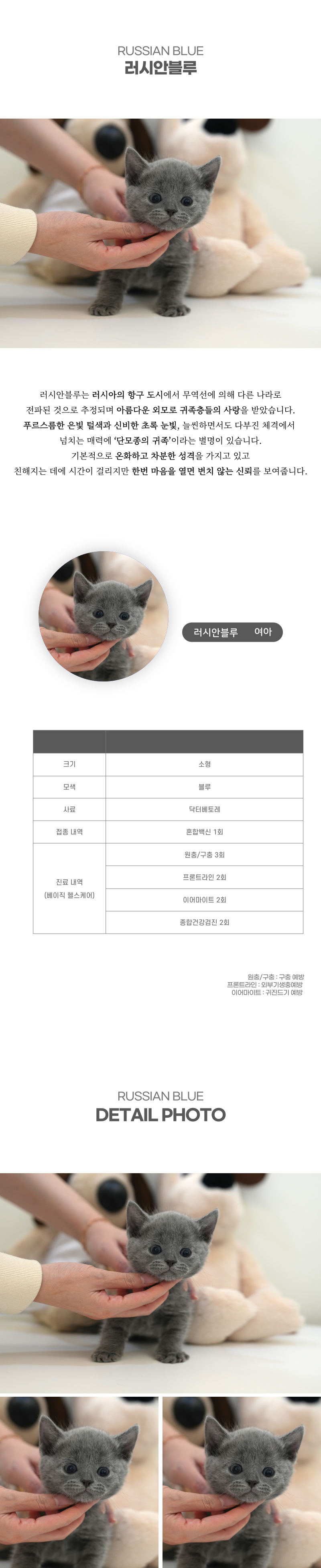 러시안블루_상세이미지_2